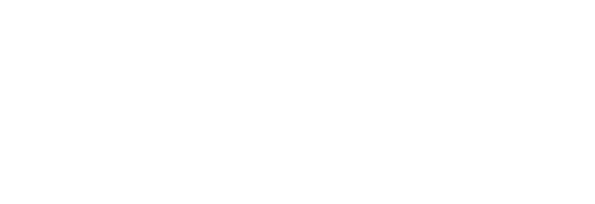 Savis Enterprise